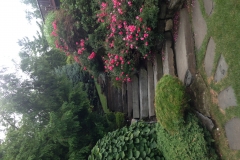 constpic8