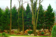 landscapepic22