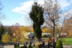 landscapepic24