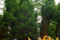 landscapepic27