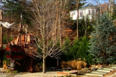 landscapepic30