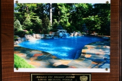 awardpic2
