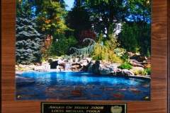 awardpic20