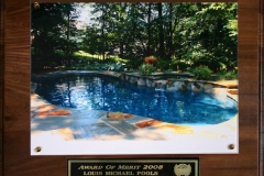 awardpic9
