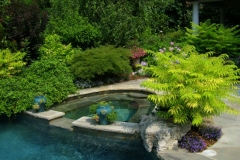 poolpic30