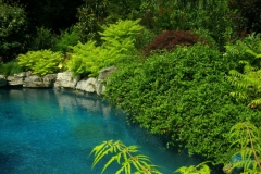poolpic31