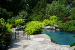 poolpic33